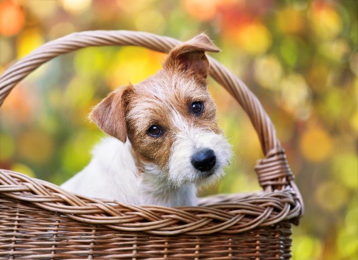 How To Make Gourmet Gift Baskets: The Ultimate Guide